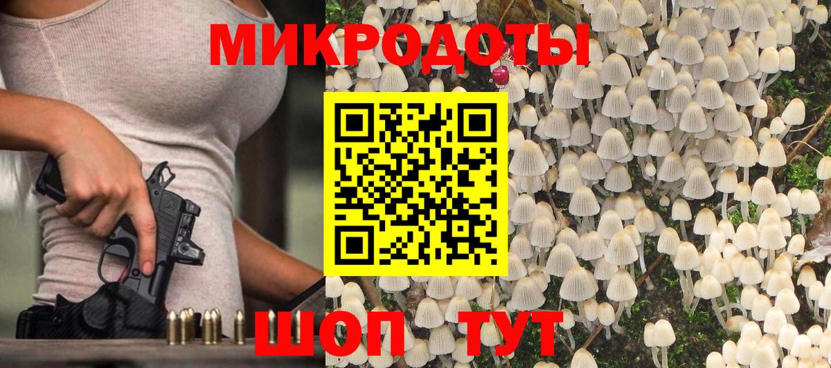 купить наркотики цена  Псилоцибиновые грибы мицелий  Галлюциногенные грибы Psilocybe  Вход с VPN  Солнечногорск 